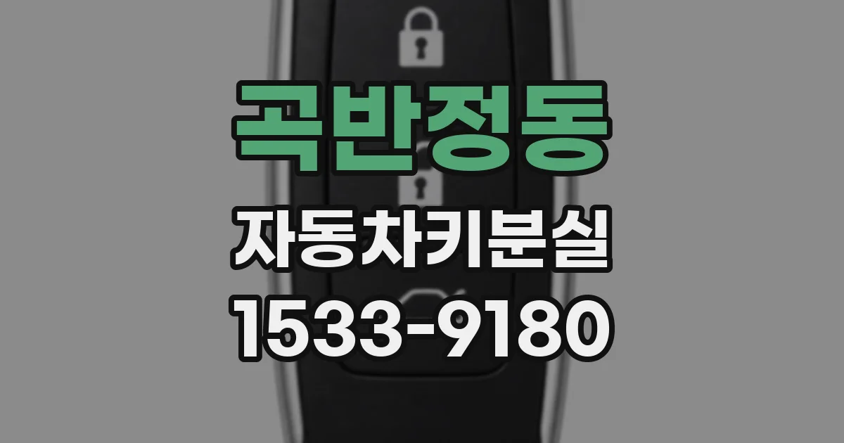 곡반정동 자동차키분실