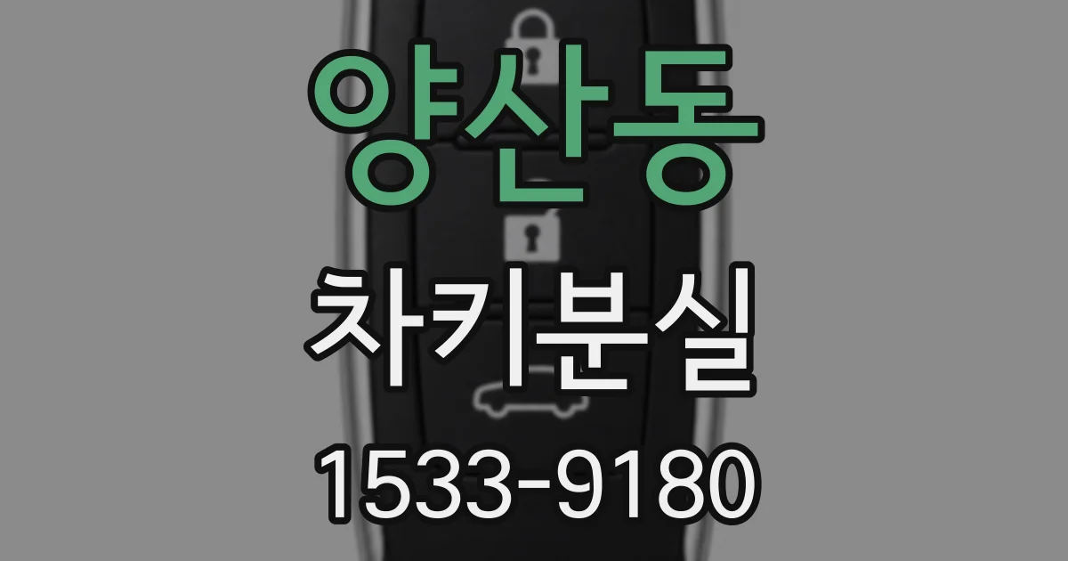 양산동 차키분실