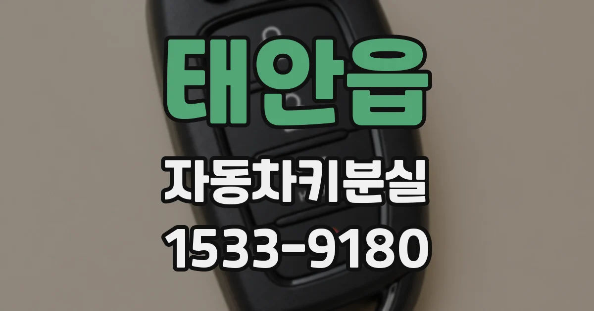 태안읍 자동차키분실