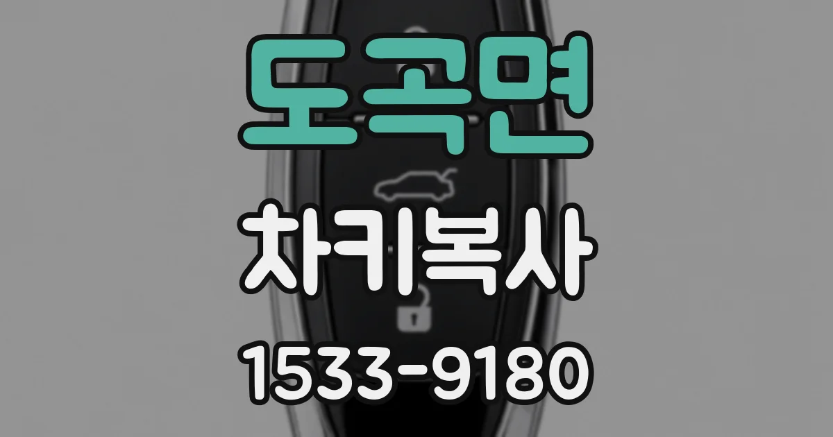 도곡면 차키복사