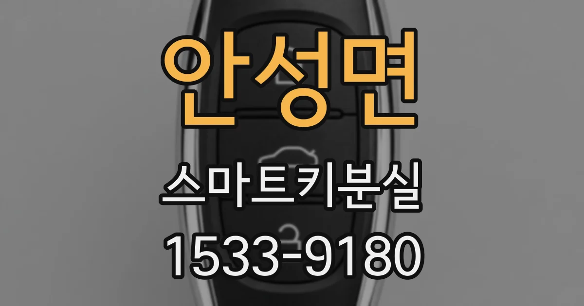 안성면 스마트키분실