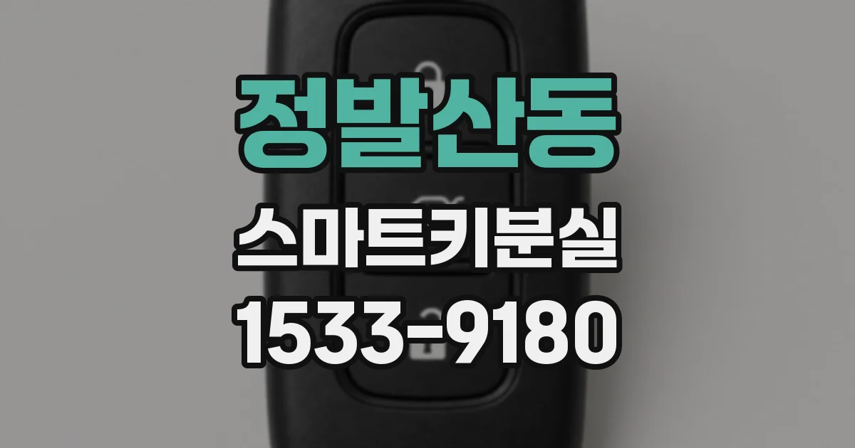 정발산동 스마트키분실