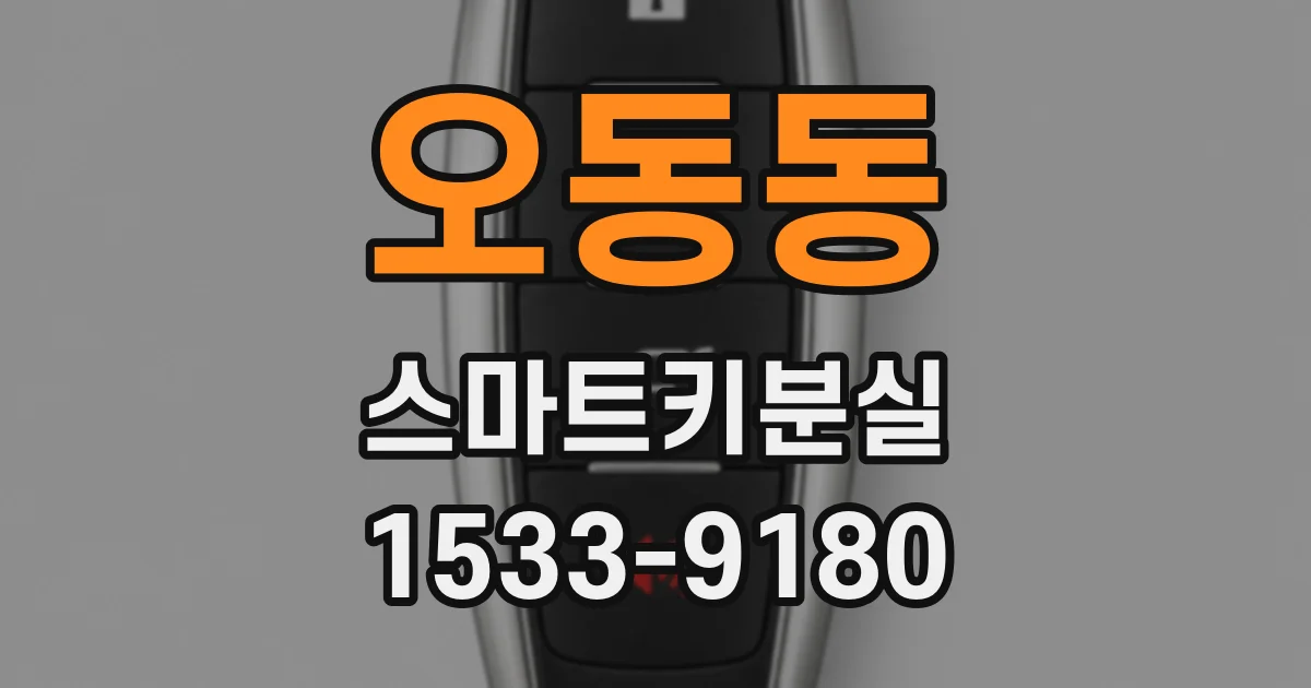 오동동 스마트키분실