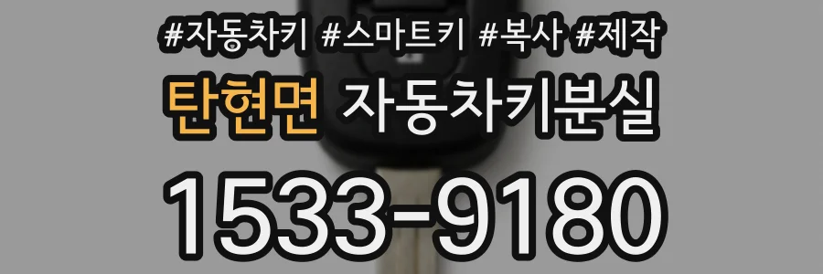 탄현면 자동차키분실