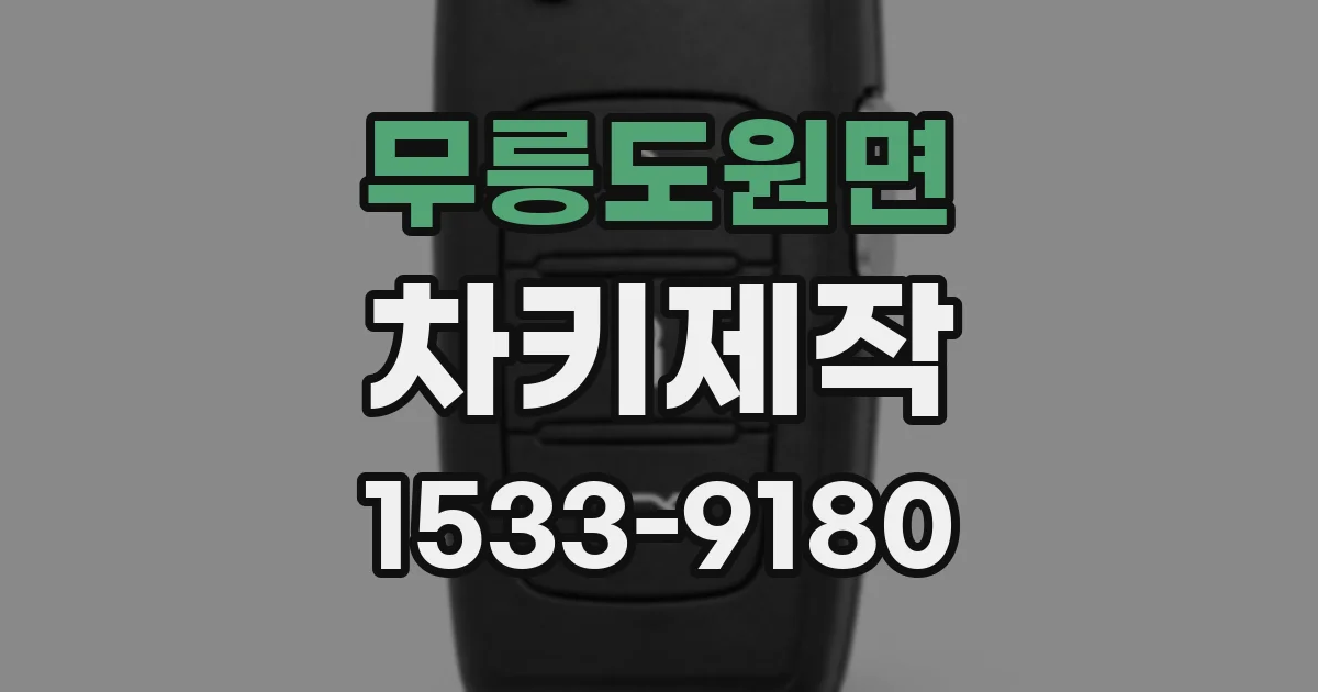 무릉도원면 차키제작