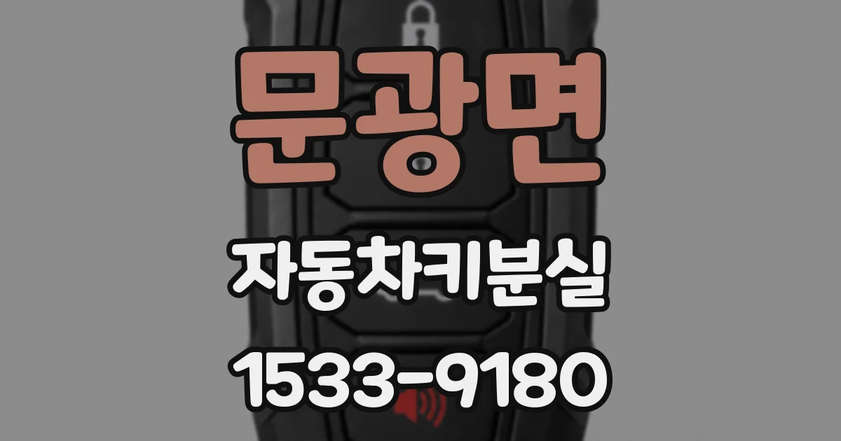 문광면 자동차키분실
