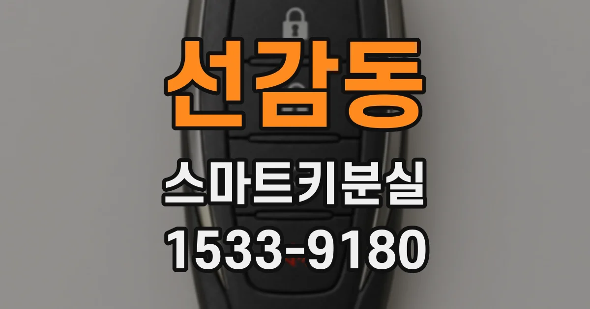 선감동 스마트키분실