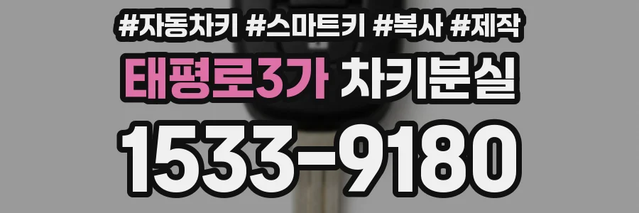 태평로3가 차키분실