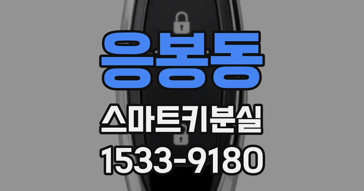 응봉동 스마트키분실