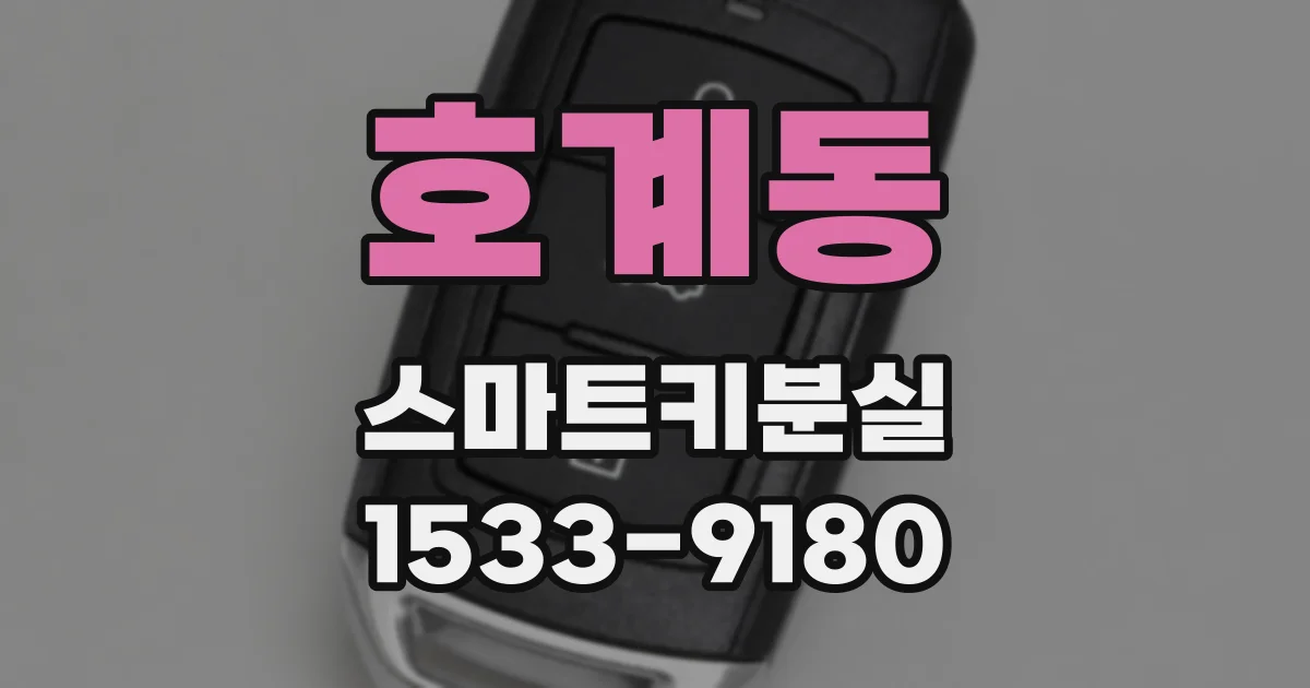 호계동 스마트키분실