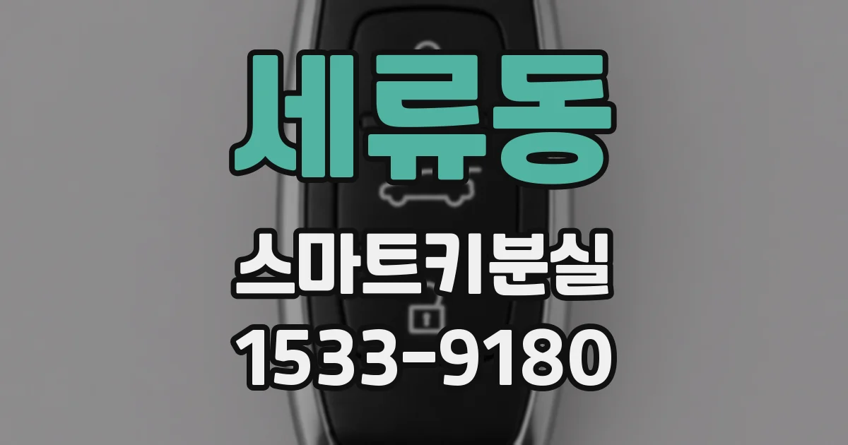 세류동 스마트키분실