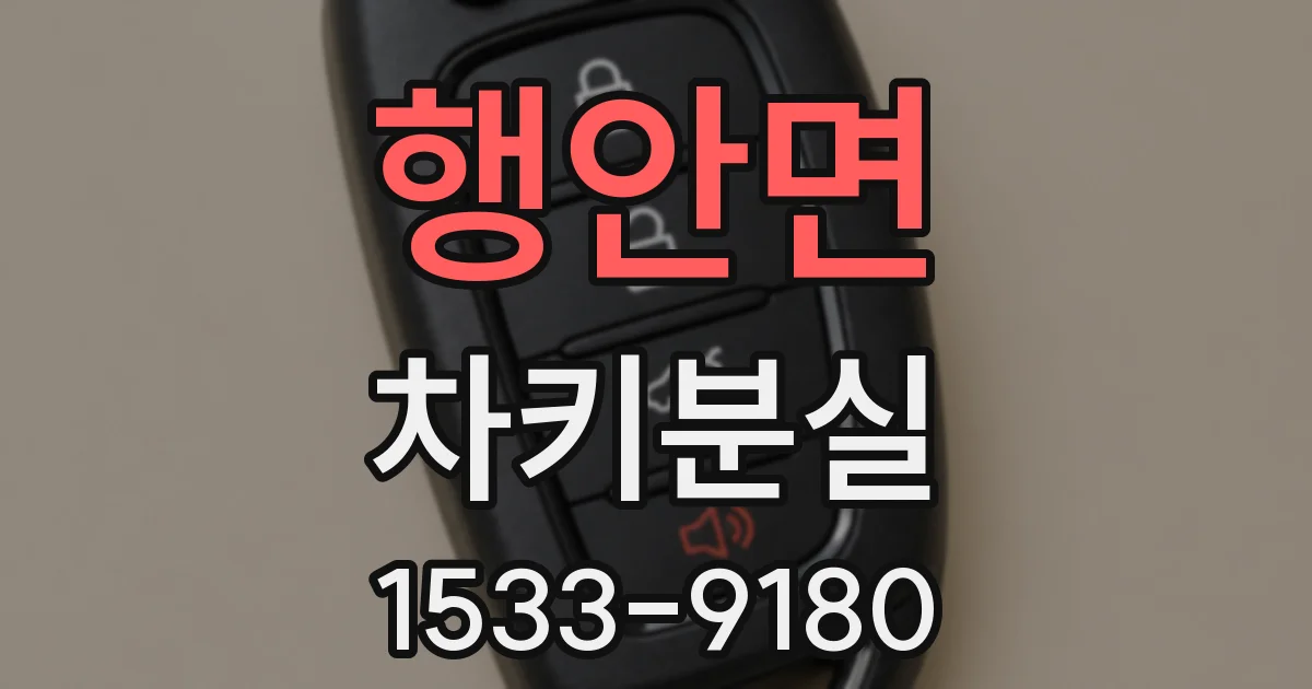행안면 차키분실