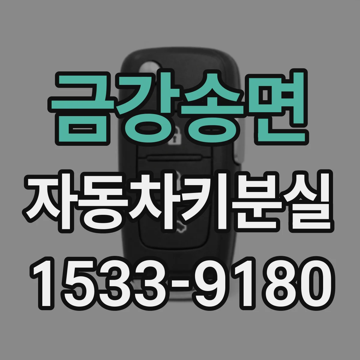 금강송면 자동차키분실