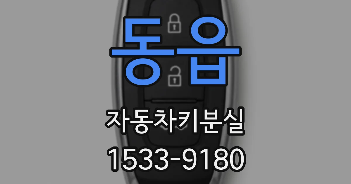 동읍 자동차키분실