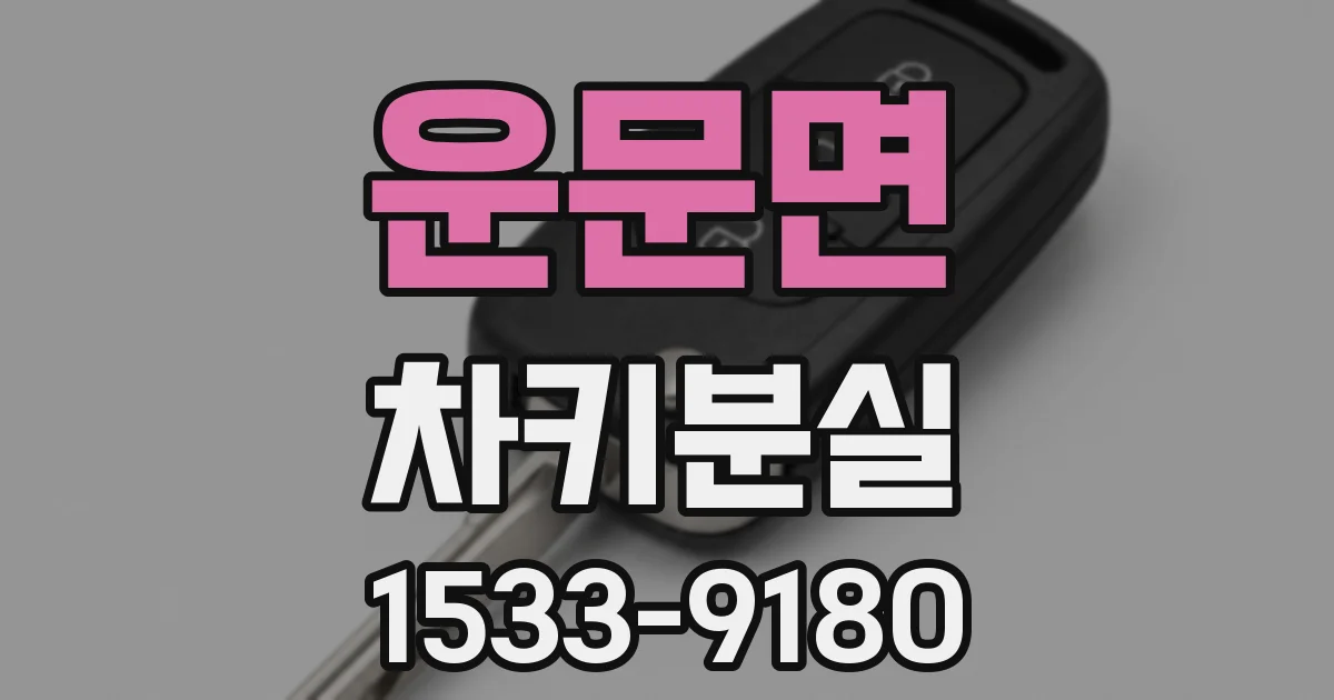운문면 차키분실