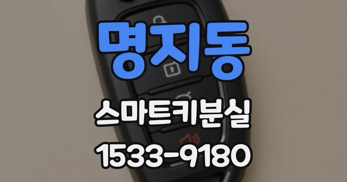 명지동 스마트키분실