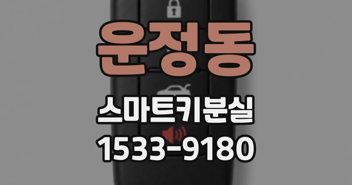 운정동 스마트키분실