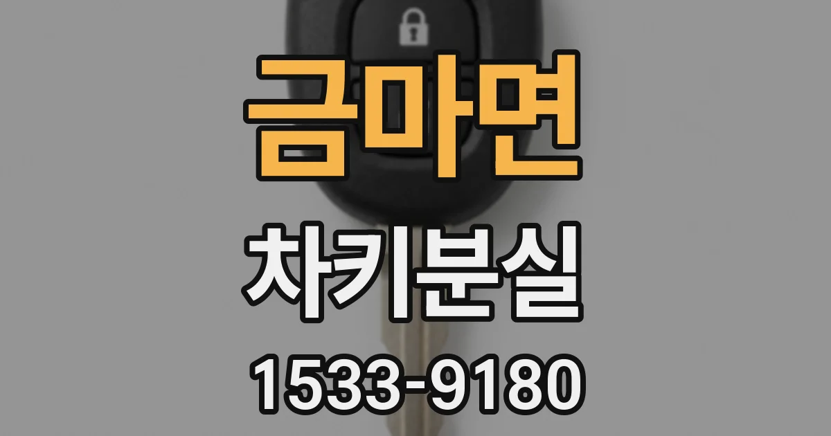 금마면 차키분실