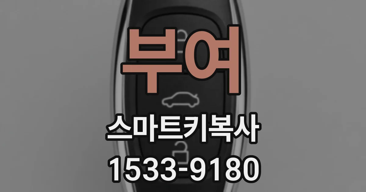 부여 스마트키복사