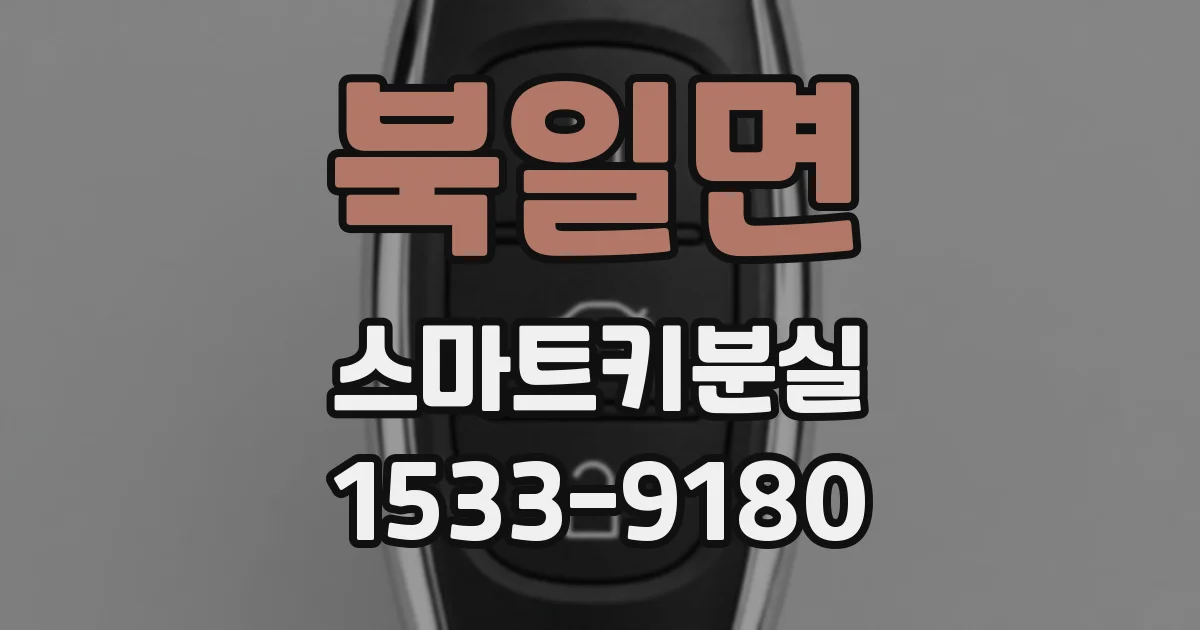 북일면 스마트키분실