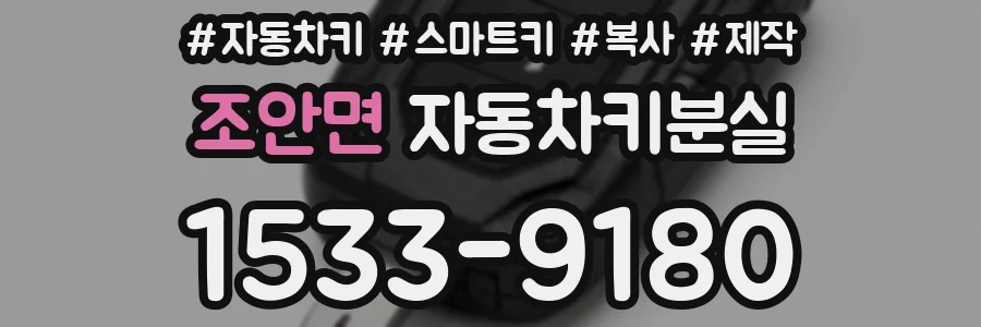 조안면 자동차키분실