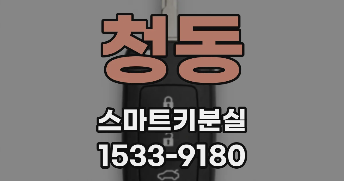 청동 스마트키분실