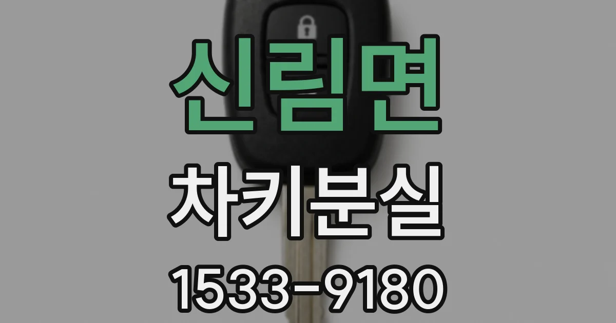 신림면 차키분실