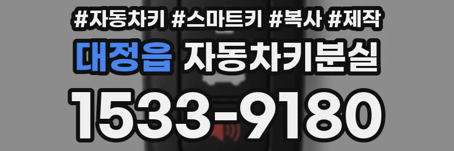 대정읍 자동차키분실
