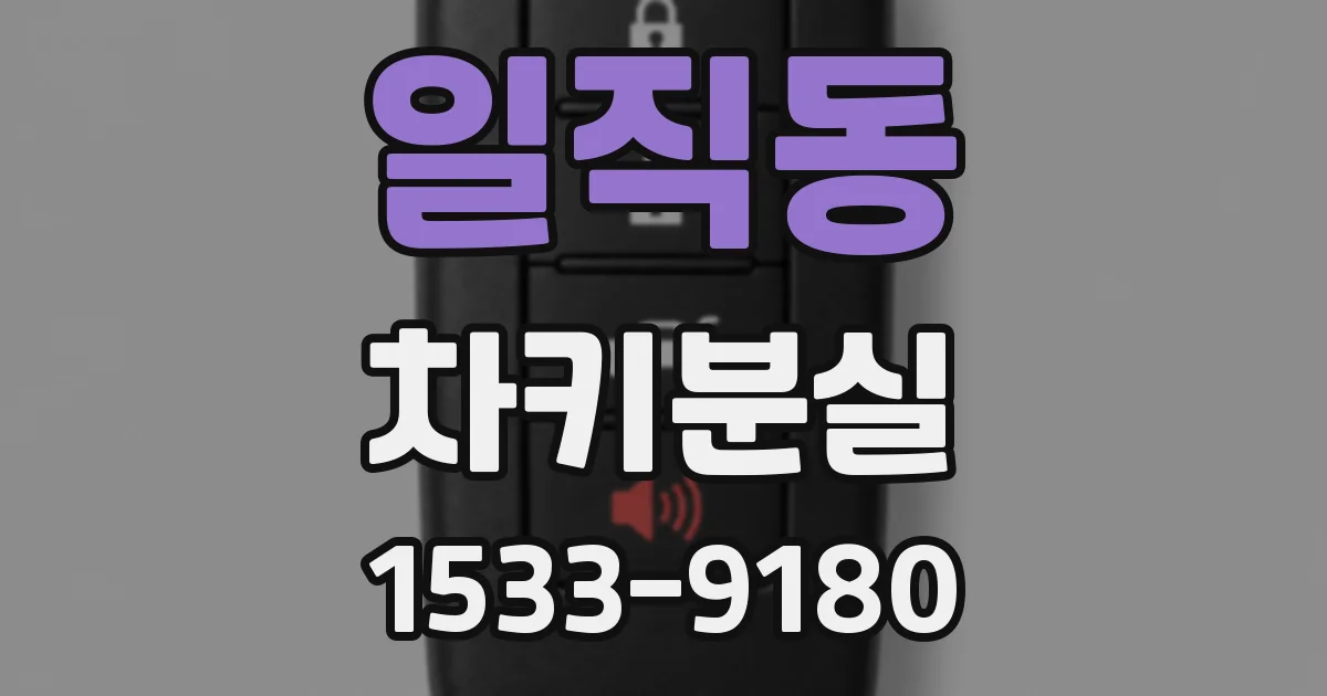 일직동 차키분실