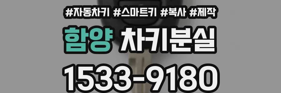 함양 차키분실