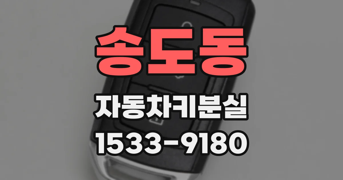 송도동 자동차키분실