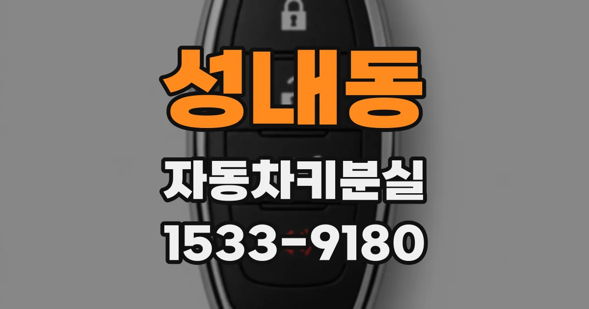 성내동 자동차키분실