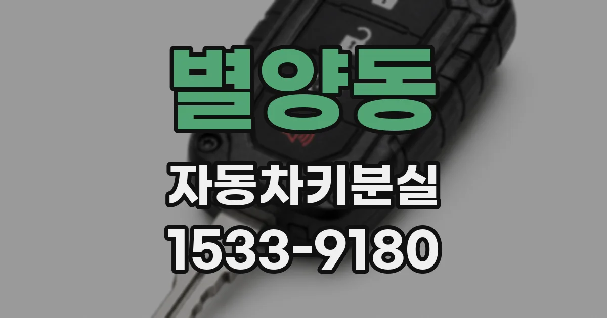 별양동 자동차키분실