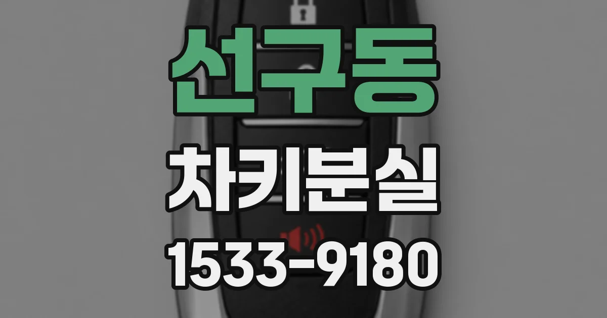 선구동 차키분실
