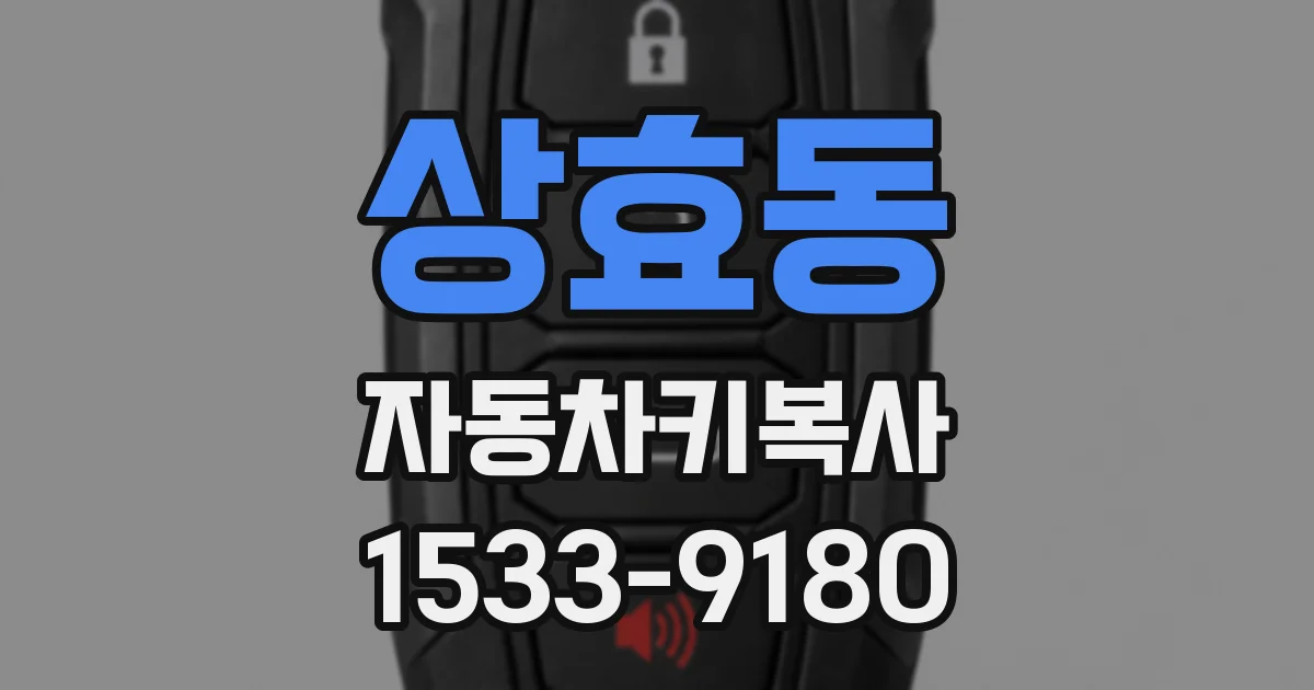 상효동 자동차키복사