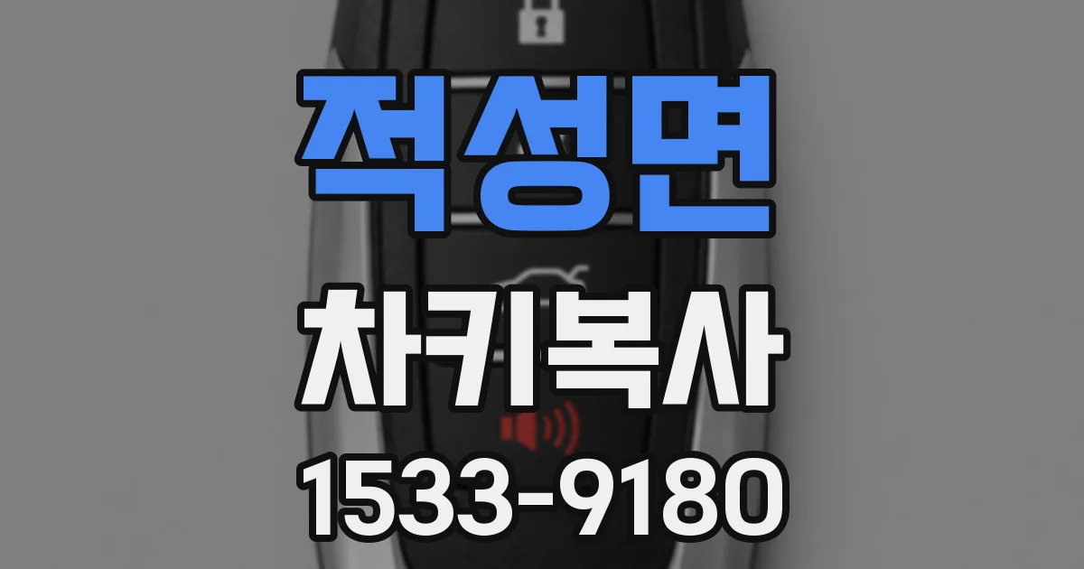 적성면 차키복사