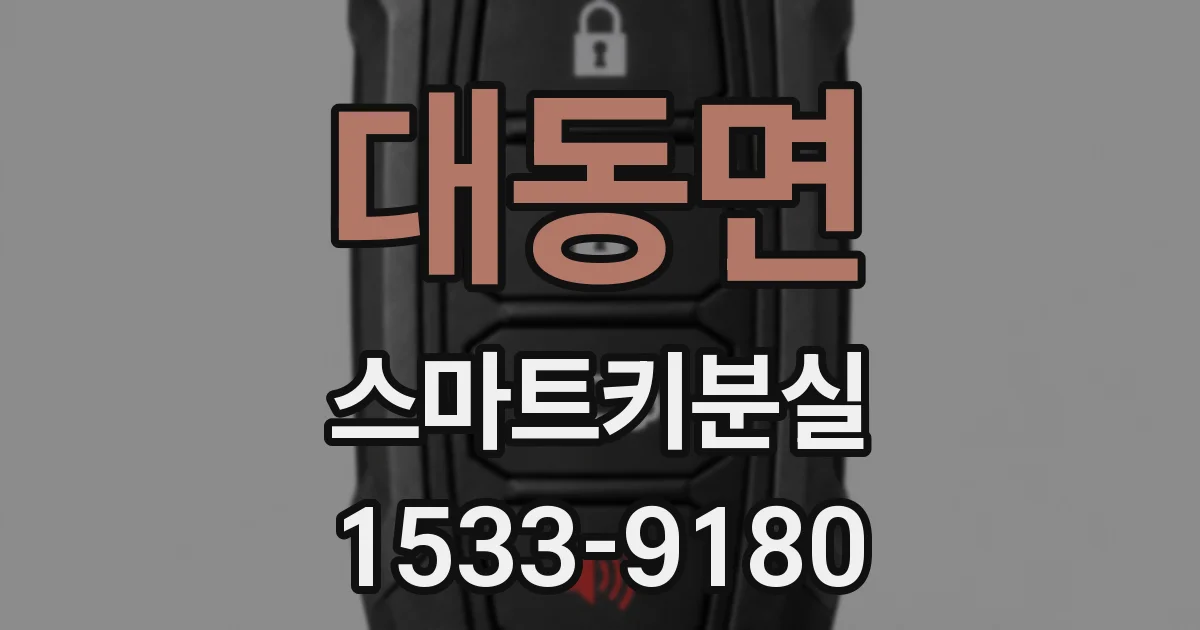 대동면 스마트키분실