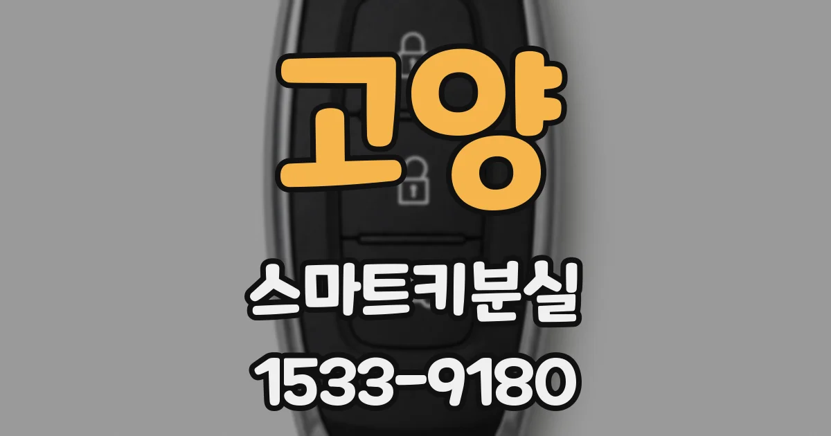 고양 스마트키분실