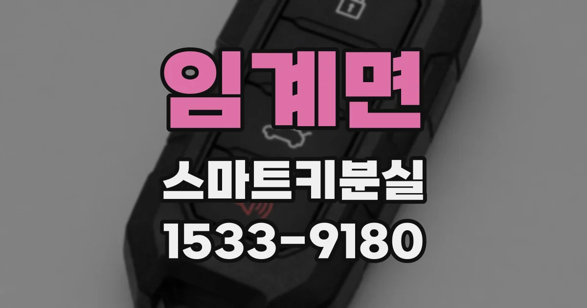 임계면 스마트키분실