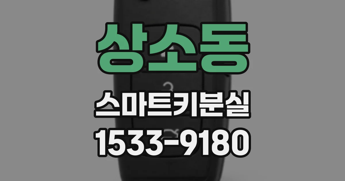 상소동 스마트키분실