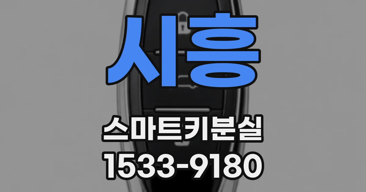 시흥 스마트키분실
