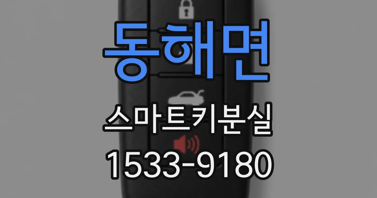 동해면 스마트키분실
