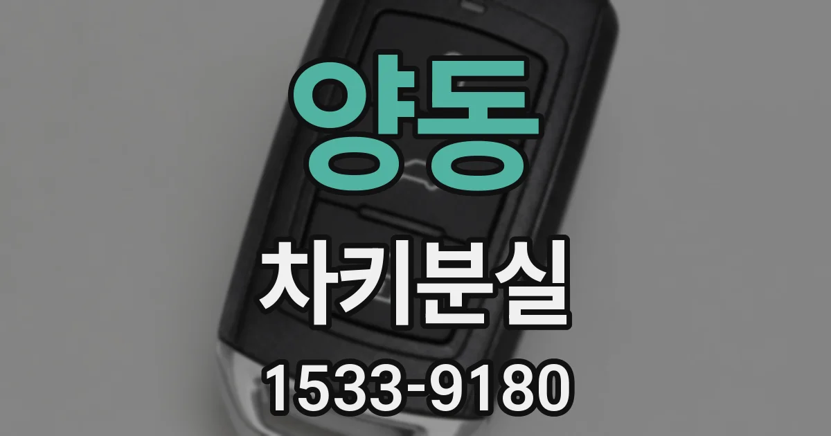양동 차키분실