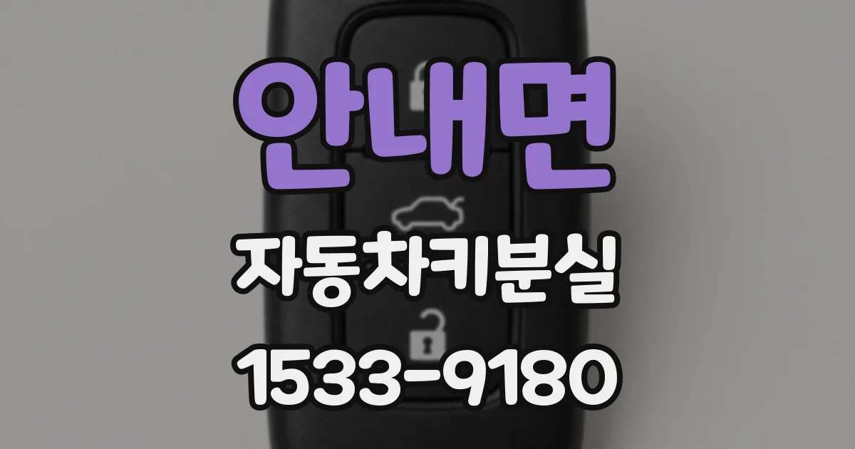 안내면 자동차키분실