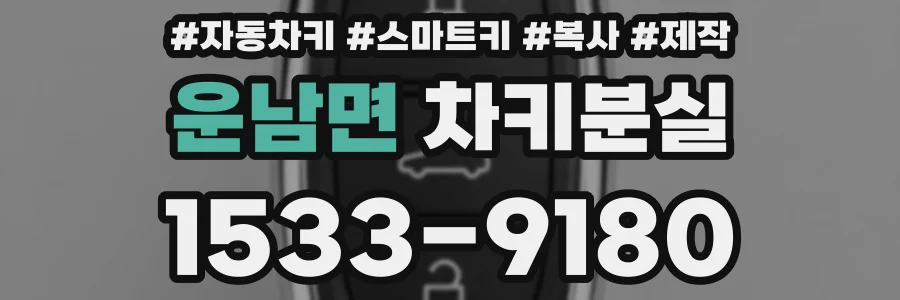 운남면 차키분실