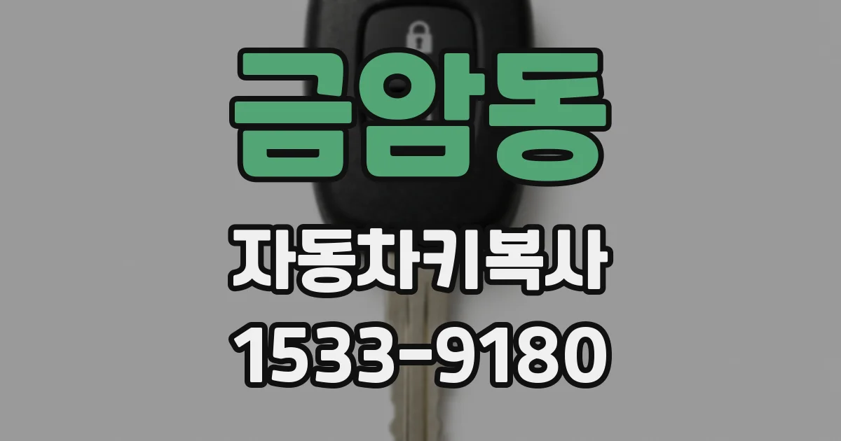 금암동 자동차키복사