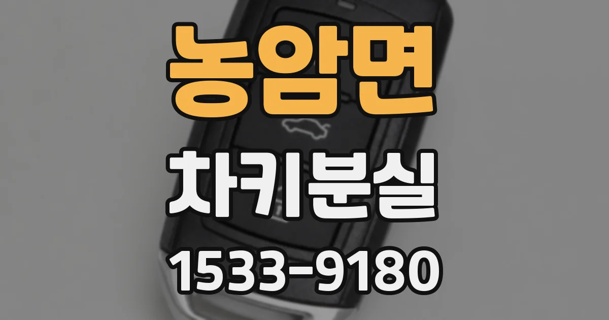 농암면 차키분실