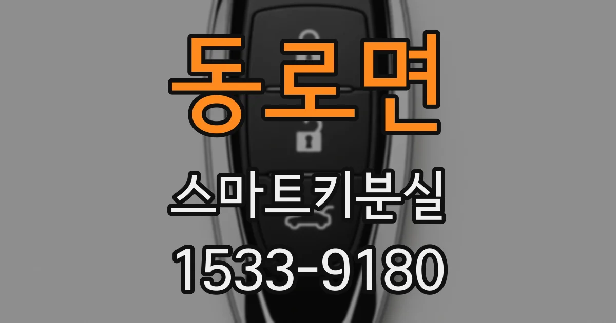 동로면 스마트키분실