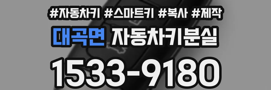 대곡면 자동차키분실