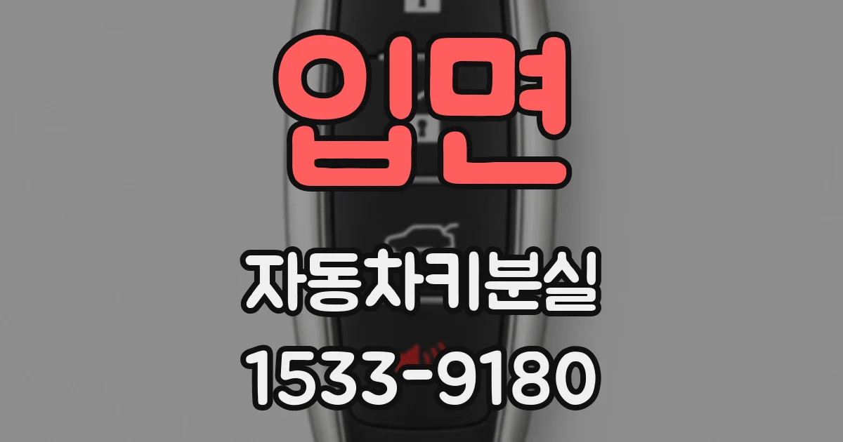 입면 자동차키분실